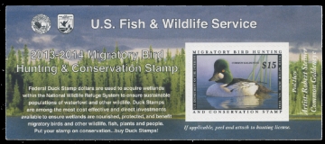 Picture of RW80A 2013 Duck Stamp