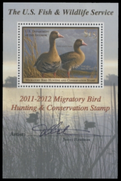 Picture of RW78B 2011 Duck Stamp