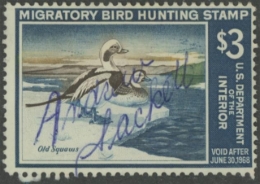 Picture of RW34 1967 Duck Stamp  Used Fine