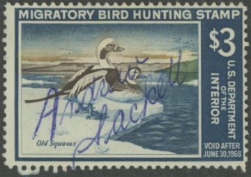 Picture of RW34 1967 Duck Stamp  Used Fine