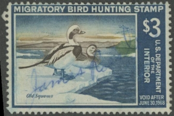 Picture of RW34 1967 Duck Stamp  Used Fine