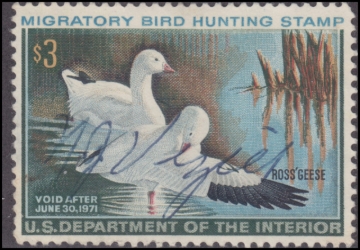 Picture of RW37 1970 Duck Stamp  Used F-VF