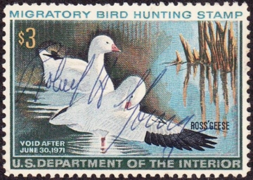 Picture of RW37 1970 Duck Stamp  Used VF