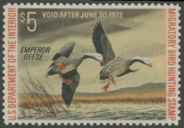 Picture of RW39 1972 Duck Stamp  MNH XF