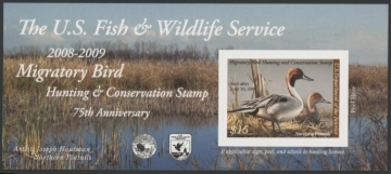 Picture of RW75A 2008 Duck Stamp  MNH VF