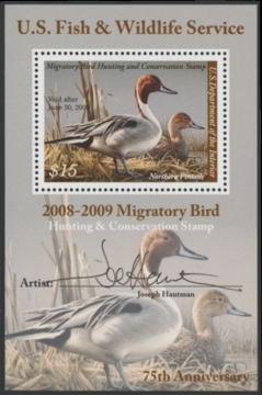 Picture of RW75B 2008 Duck Stamp  MNH VF