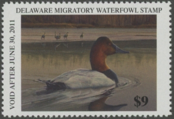Picture of 2010 Delaware Duck Stamp MNH VF