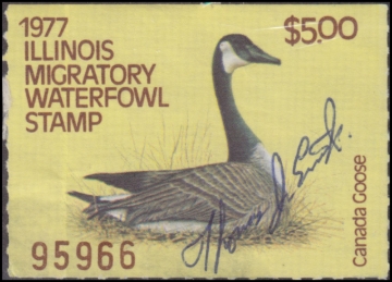 Picture of 1977 Illinois Duck Stamp Used F-VF