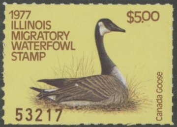 Picture of 1977 Illinois Duck Stamp MNH VF