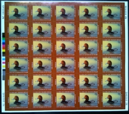 Picture of JDS14 2006 Junior Duck Stamp Full Sheet MNH VF