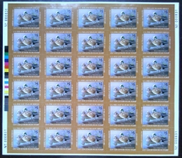 Picture of JDS15 2007 Junior Duck Stamp Full Sheet MNH VF