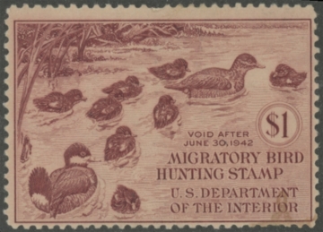 Picture of RW8 1941 Duck Stamp  Unsigned Fine
