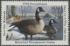 Picture of RW8 1941 Duck Stamp  MNH VF