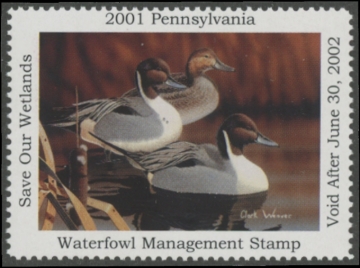 Picture of 2001 Pennsylvania Duck Stamp MNH VF