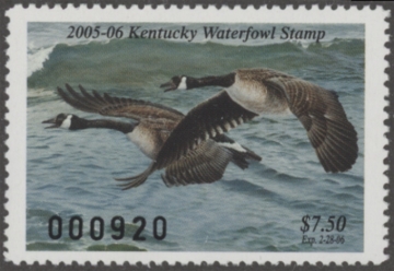 Picture of 2005 Kentucky Duck Stamp MNH VF