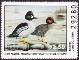 Picture of 1989 Maine Duck Stamp MNH VF