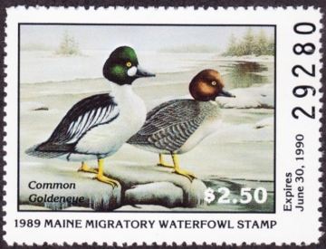 Picture of 1989 Maine Duck Stamp MNH VF