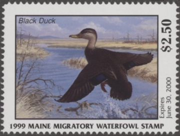 Picture of 1999 Maine Duck Stamp MNH VF