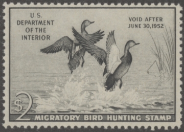 Picture of RW18 1951 Duck Stamp  MNH F-VF