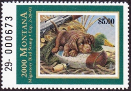 Picture of 2000 Montana Duck Stamp MNH VF