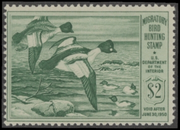 Picture of RW16 1949 Duck Stamp  MNH Fine