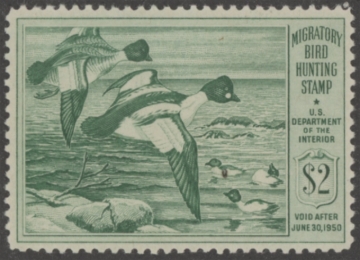 Picture of RW16 1949 Duck Stamp  MNH F-VF
