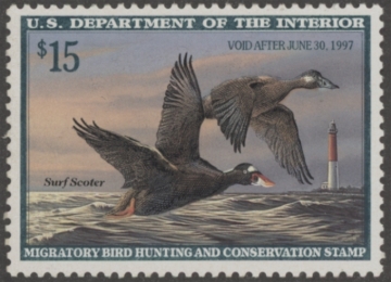 Picture of RW63 1996 Duck Stamp  MNH VF