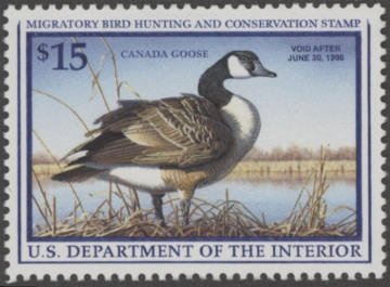 Picture of RW64 1997 Duck Stamp  MNH VF