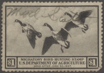 Picture of RW3 1936 Duck Stamp  Used VF
