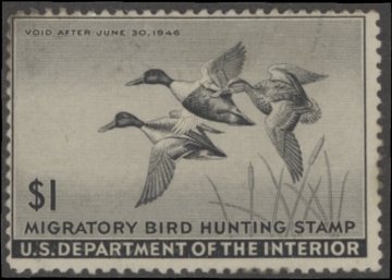 Picture of RW12 1945 Duck Stamp  Unsigned F-VF