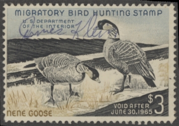 Picture of RW31 1964 Duck Stamp  Used Fine