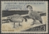 Picture of RW31 1964 Duck Stamp  Used Fine