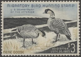 Picture of RW31 1964 Duck Stamp  MNH, Faults VF