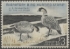 Picture of RW31 1964 Duck Stamp  MNH, Faults VF