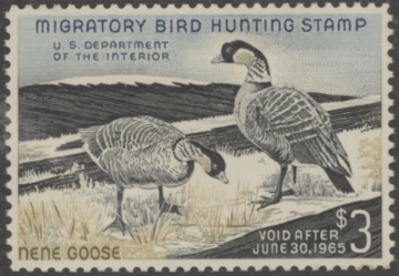 Picture of RW31 1964 Duck Stamp  MNH, Faults XF