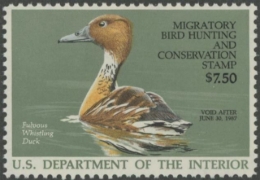 Picture of RW53 1986 Duck Stamp  MNH VF