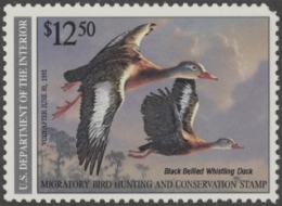 Picture of RW57 1990 Duck Stamp  MNH F-VF