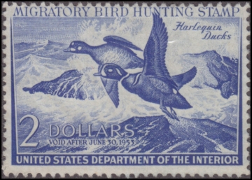 Picture of RW19  Duck Stamp  Unsigned Fine