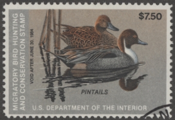 Picture of RW50 1983 Duck Stamp  Used F-VF