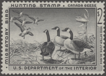Picture of RW25 1958 Duck Stamp  MLH F-VF