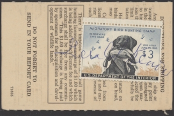 Picture of RW26 1959 Duck Stamp  Used on MN License Very Fine