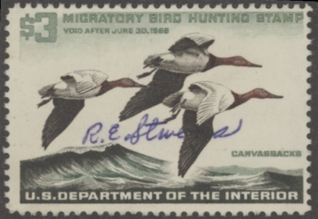 Picture of RW32 1965 Duck Stamp  Used VF