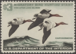 Picture of RW32 1965 Duck Stamp  MNH VF
