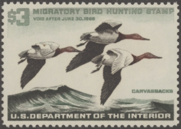 Picture of RW32 1965 Duck Stamp  MNH VF