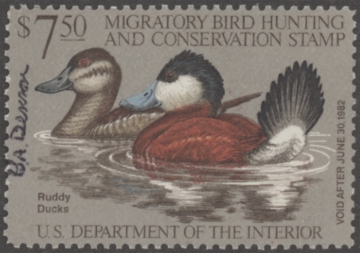 Picture of RW48 1981 Duck Stamp  Used F-VF