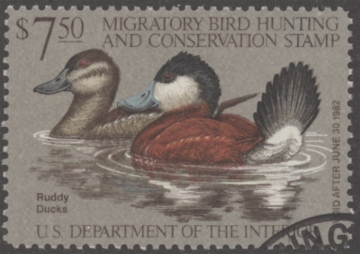 Picture of RW48 1981 Duck Stamp  Used F-VF