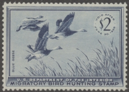Picture of RW22 1955 Duck Stamp  MNH XF - Sup 95
