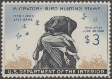 Picture of RW26 1959 Duck Stamp  MNH XF-Sup 95