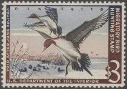Picture of RW29 1962 Duck Stamp  MNH XF-Sup 95