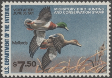 Picture of RW47 1980 Duck Stamp  MNH XF-Sup 95
